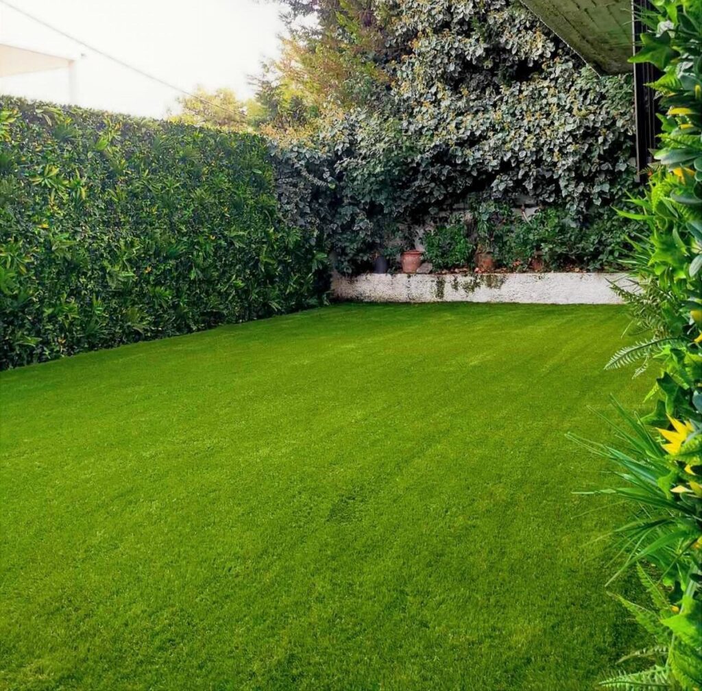 χλοοτάπητας 2