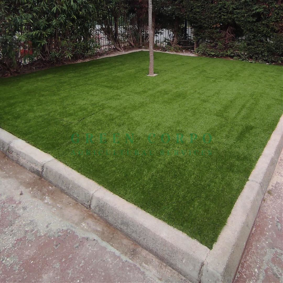 Αποτέλεσμα τοποθέτησης συνθετικού χλοοτάπητα Green Corpo σε επαγγελματικό χώρο