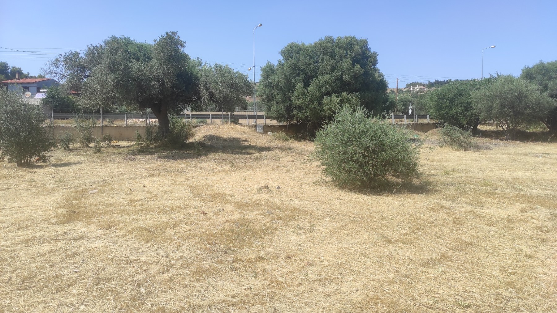 Πλήρης καθαρισμός οικοπέδου και απομάκρυνση καύσιμης ύλης από την Green Corpo