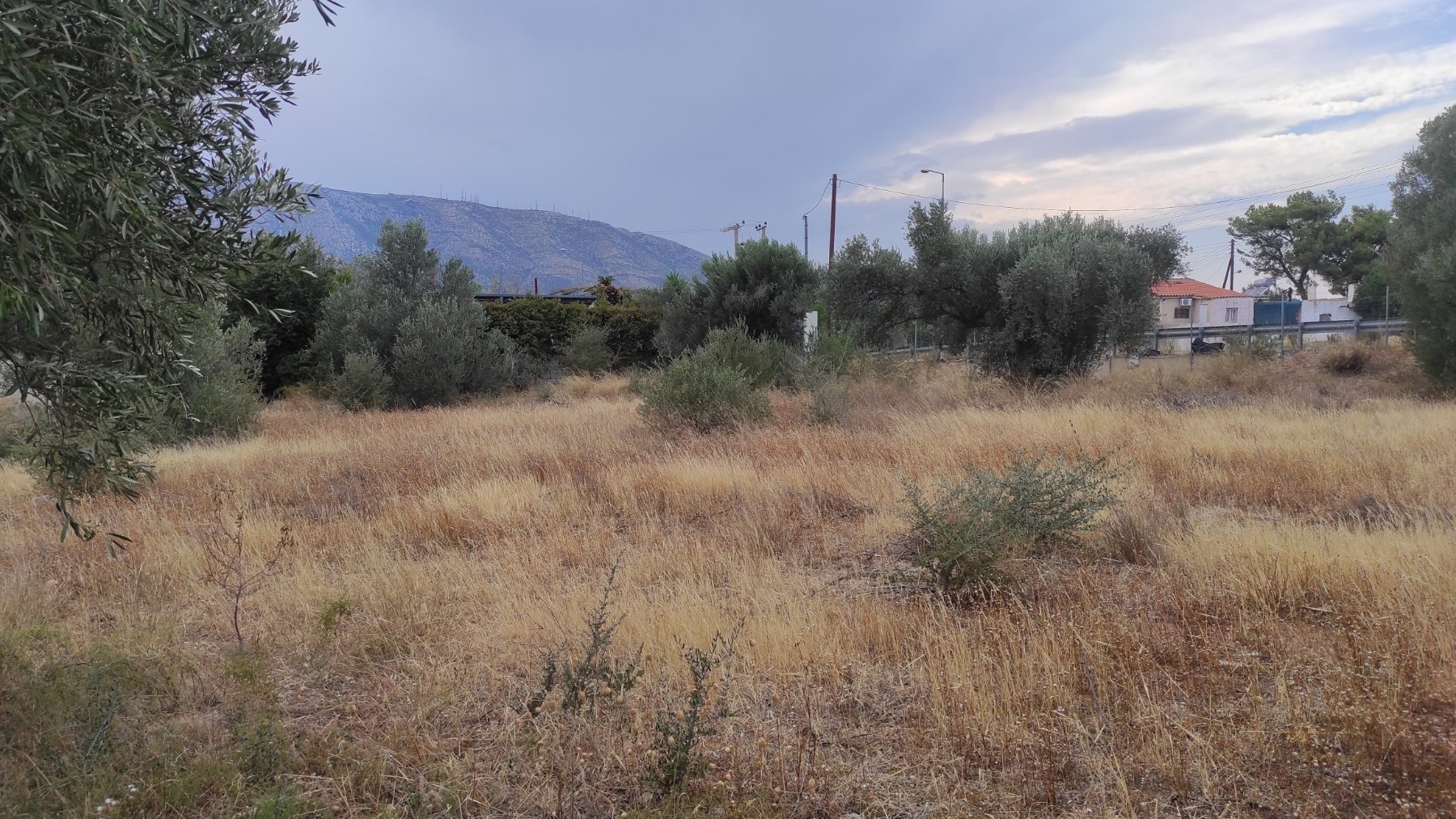 Ακαθάριστο οικόπεδο με πυκνή βλάστηση και ξερά χόρτα - Κίνδυνος πυρκαγιάς 2026