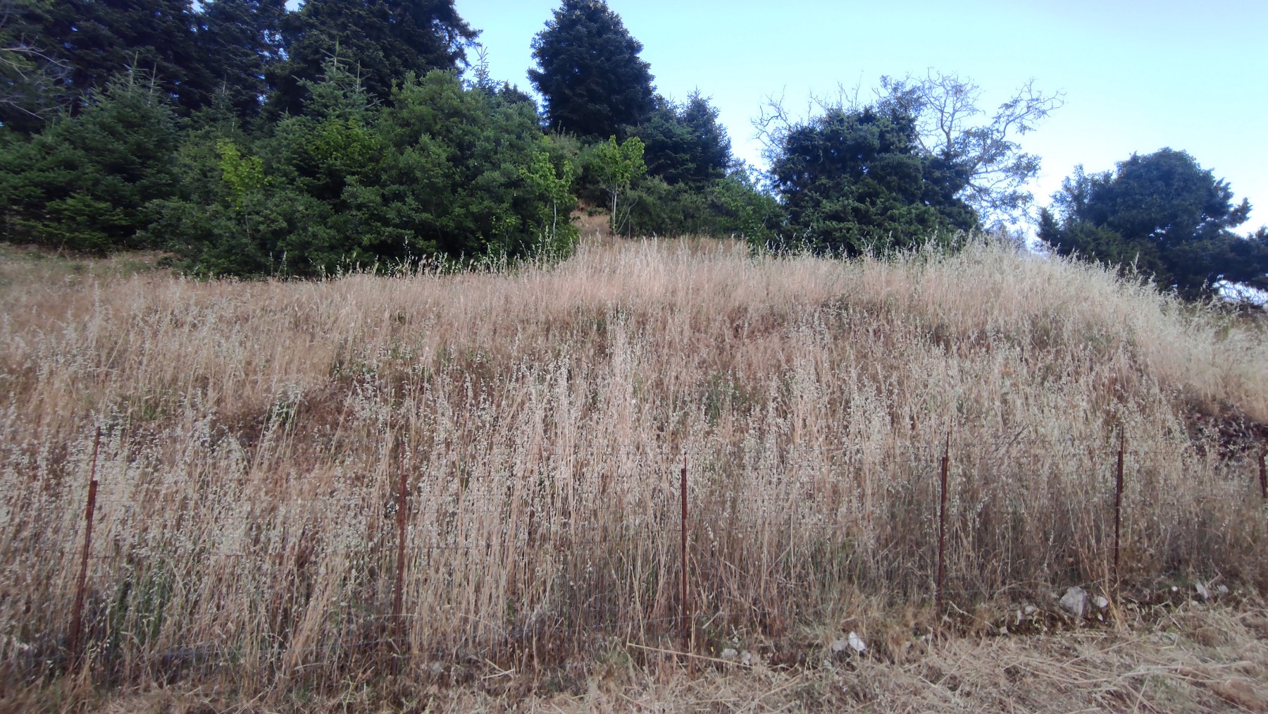 Ιδιωτικό οικόπεδο προ καθαρισμού - Υποχρέωση δήλωσης στο akatharista.apps.gov.gr